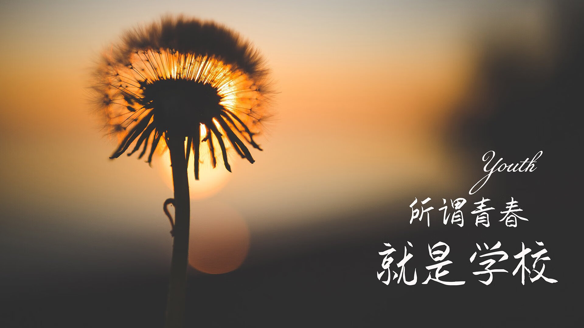 构建新型足球产业生态链，行业链条日益完善，足球产业规模