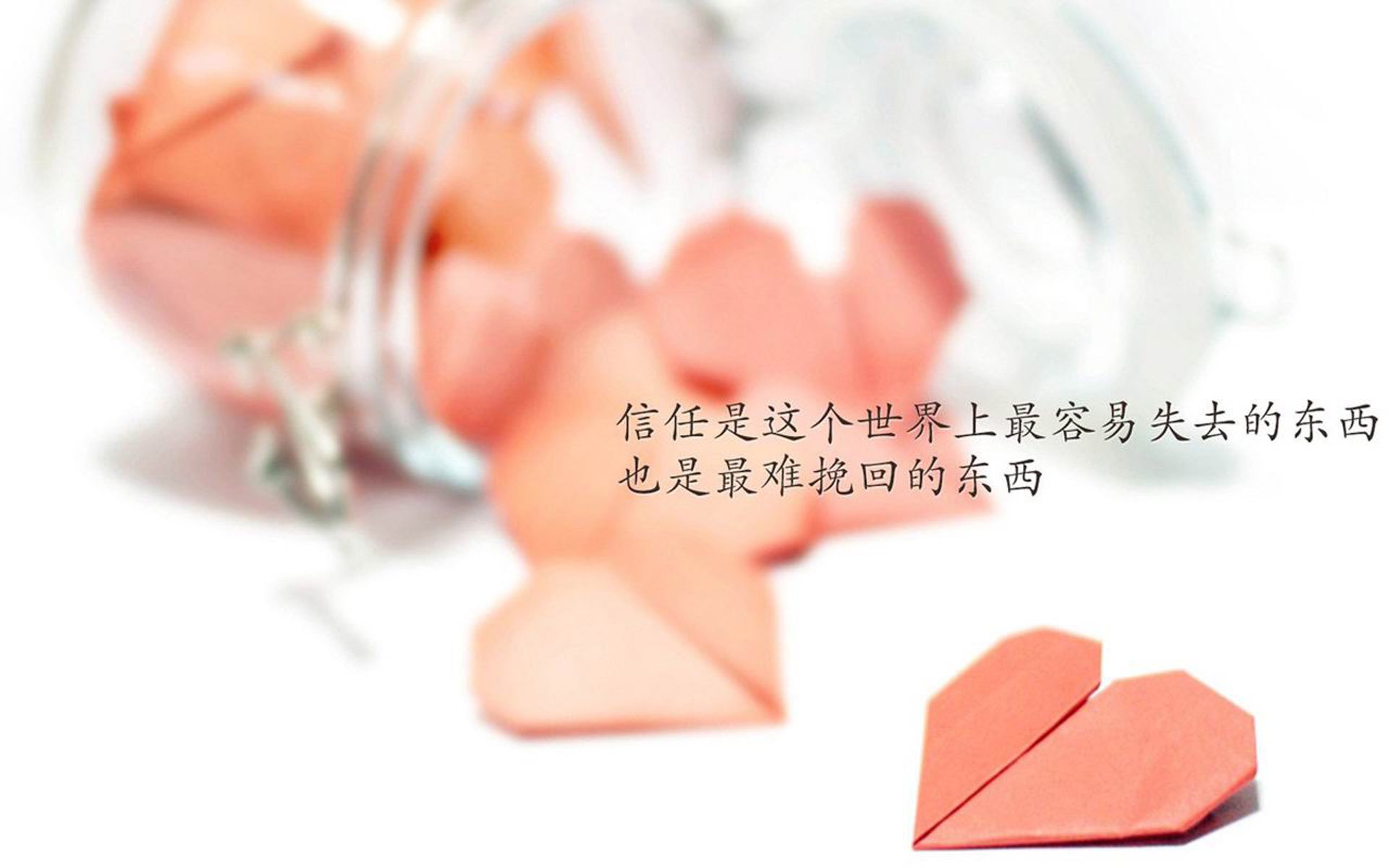 未来足球王者：新兴年轻天才在欧冠耀眼登场，欧洲足球未来之星
