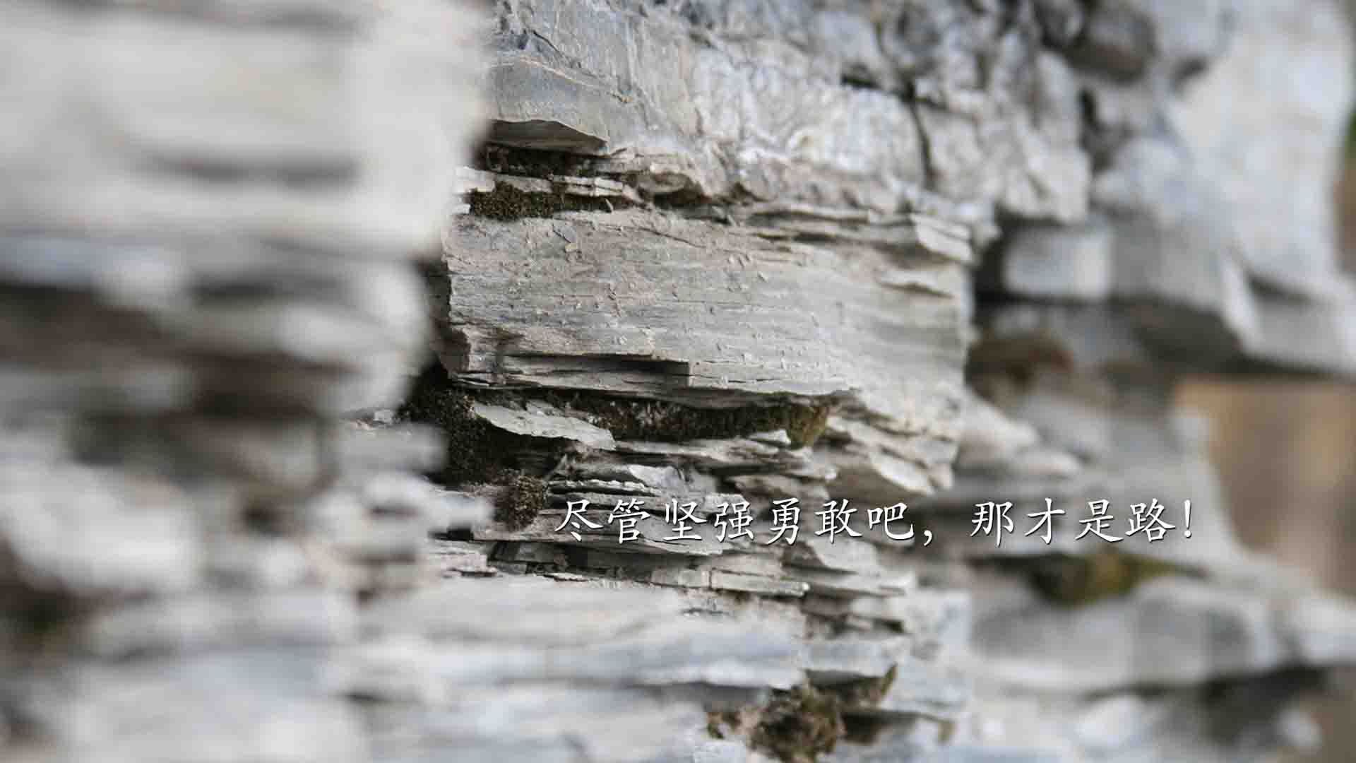 青少年足球联赛线上线下相结合，扩大比赛影响力，青少年的足球联赛