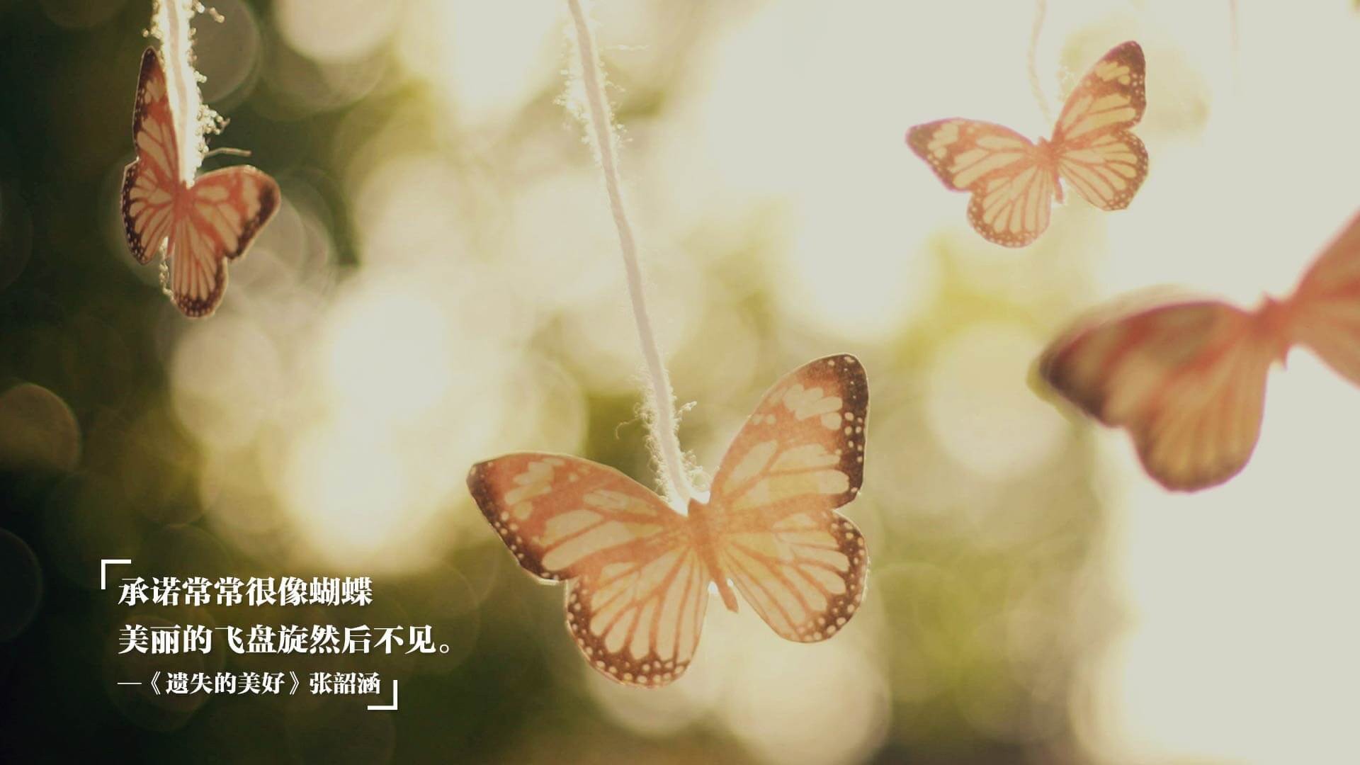 中国足球战术防线压缩数据研究，中国足球队战术