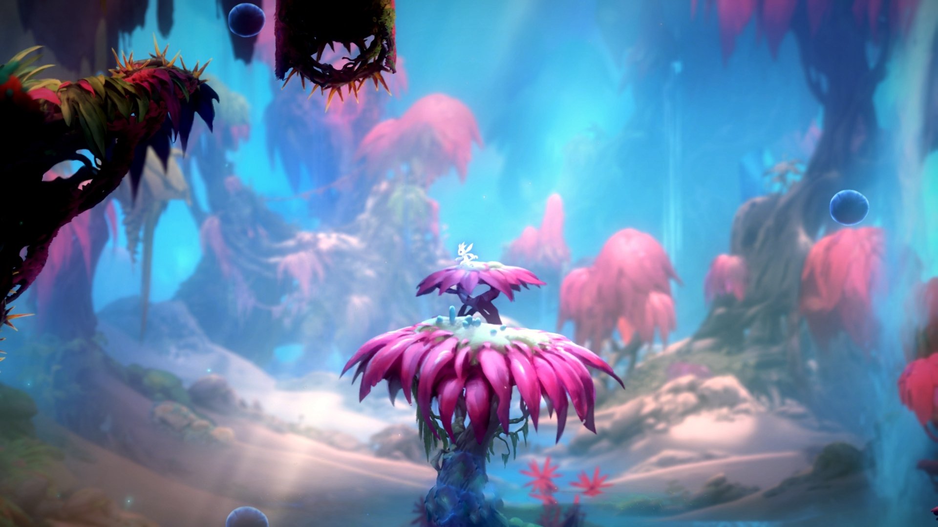 英超青训体系心理压力管理提升年轻球员稳定表现，英超青年队