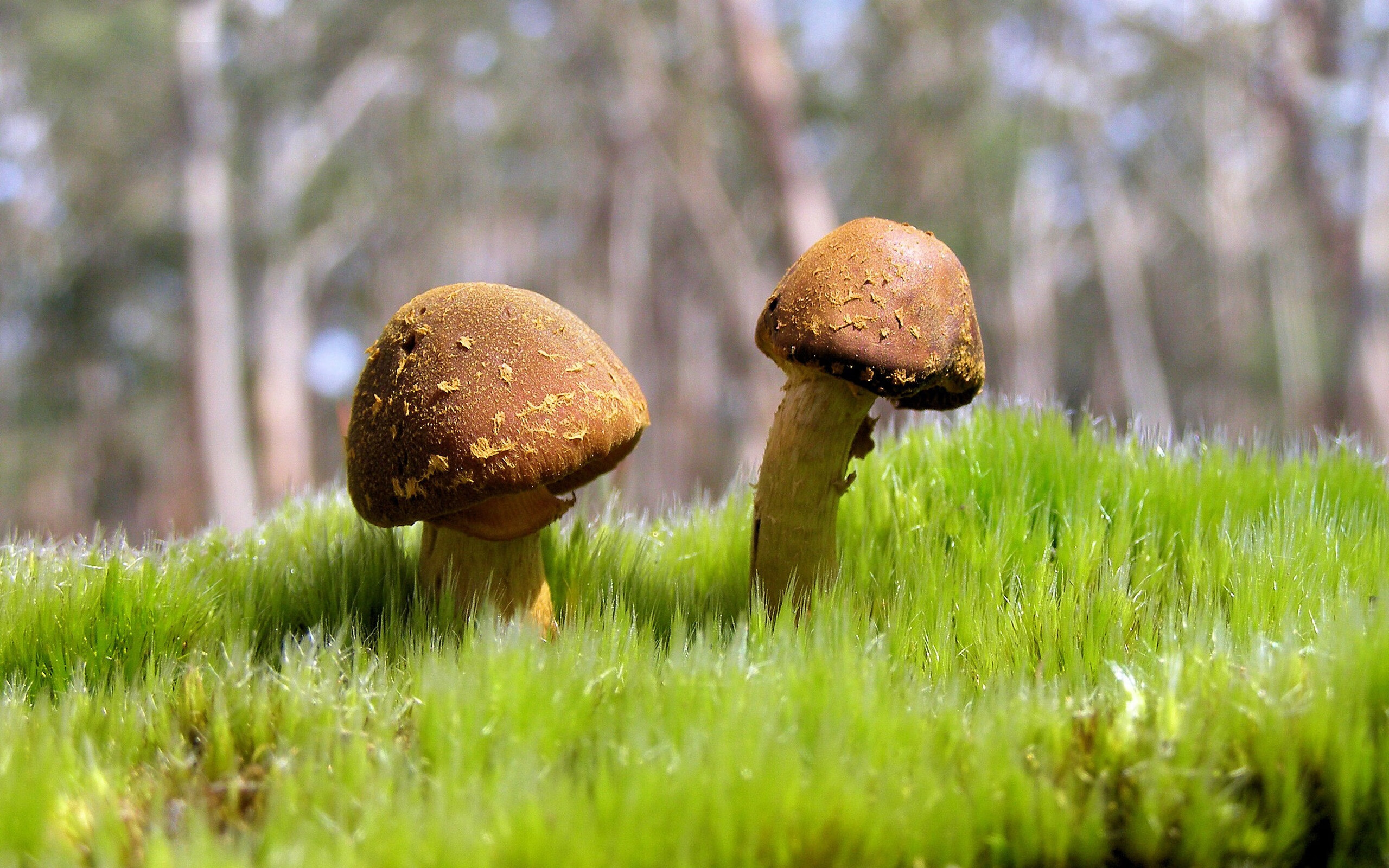 AYX GAMES-运动装备质量控制体系建设，运动装备三个作用