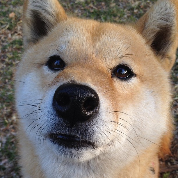 爱游戏在线-高校体育智能监控平台建设，学校体育智能设备