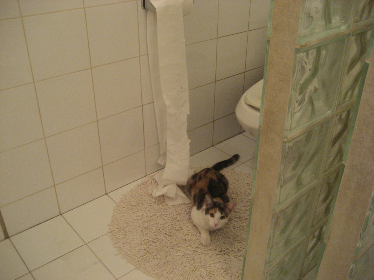 “垒球赛：新都兴城赛场，胜利就在眼前！”