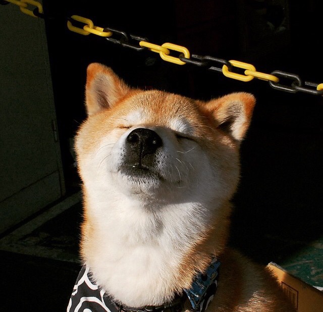 五大联赛特定位置球员市场价值变化趋势,在五大联赛都效力过的球员