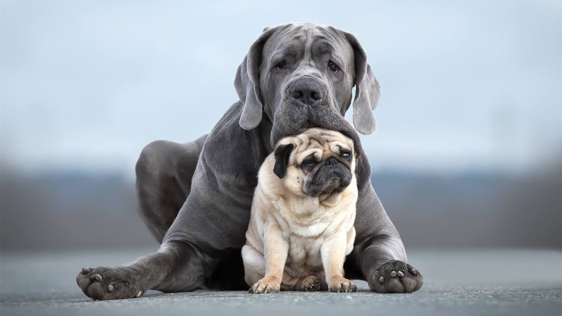 体育新闻中心推动体育产业链数字化融合项目，数字体育产业发展