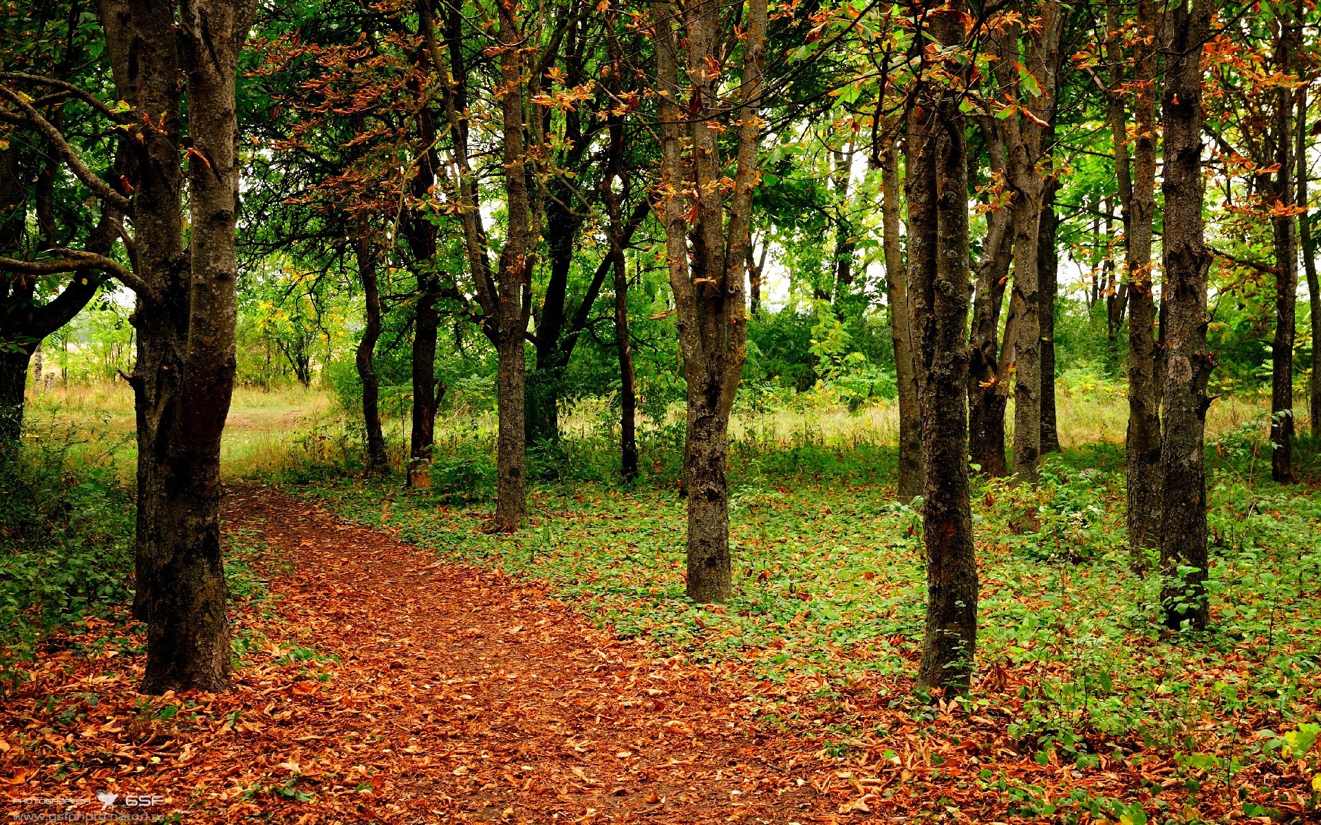 出发反应时间成胜负关键