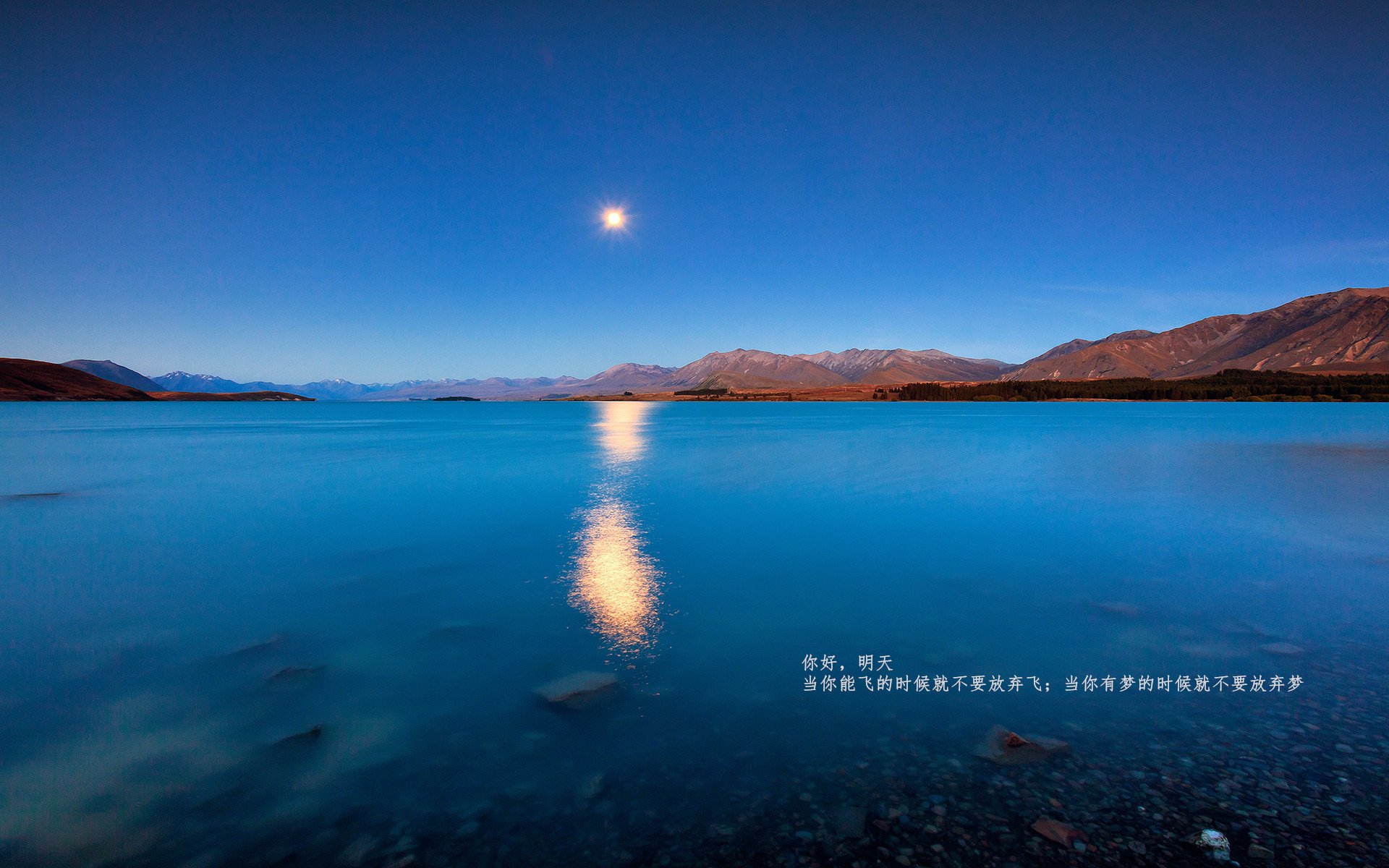 后腰球员断球能力是否决定比赛转折点分布,后腰接球摆脱集锦