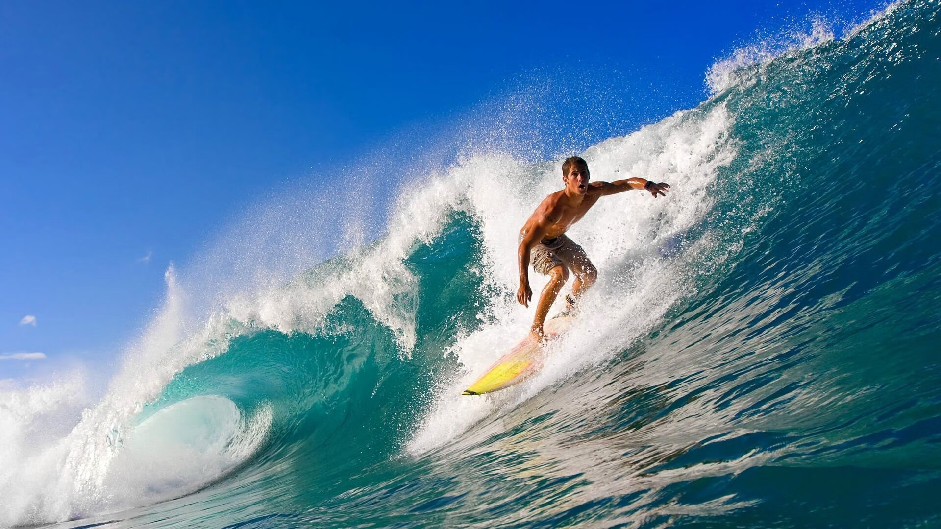 “德甲积分榜快速变动，冠军悬念逐渐揭晓”，德甲 积分